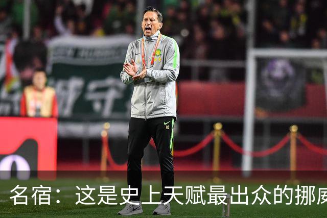 名宿：这是史上天赋最出众的挪威队 哈兰德每年都在突破个人上限